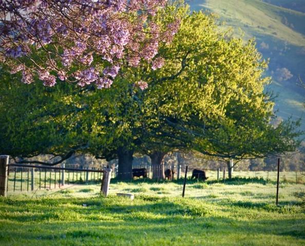 Alexandra Farmstay ภายนอก รูปภาพ